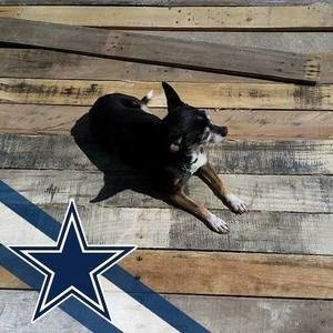 Meet your Posher, Tracey